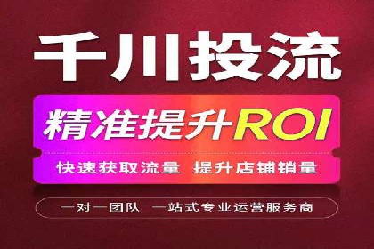 百度平台推广：成功案例解析与效果分析